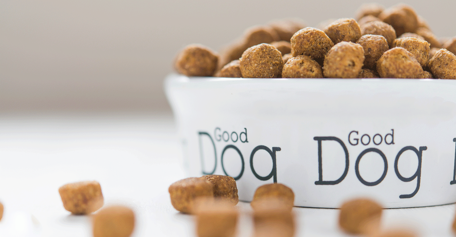 local dog food suppliers
