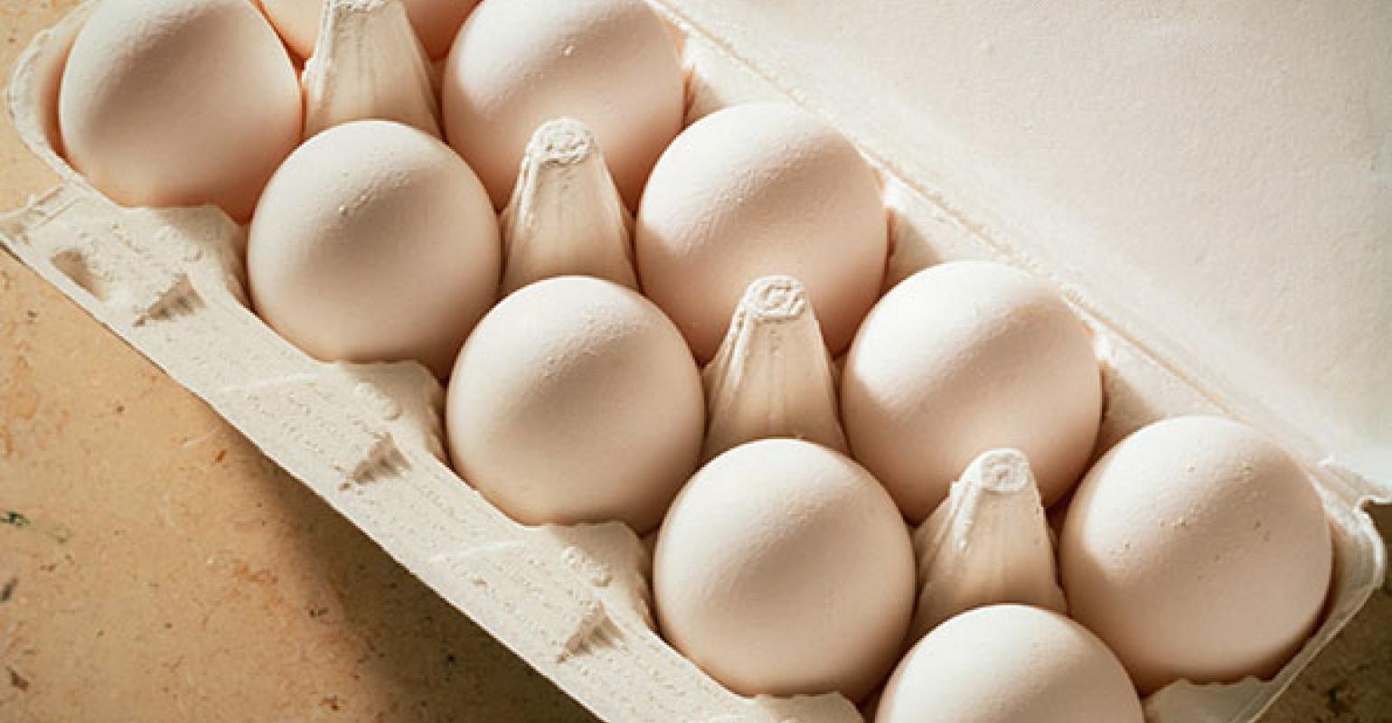 Dollar Tree puts temporary hold on egg sales | Supermarket News