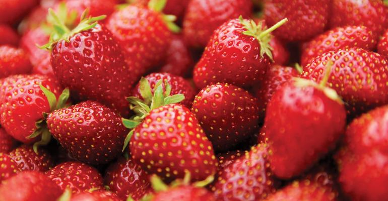 FruitStrawberries(T).jpg