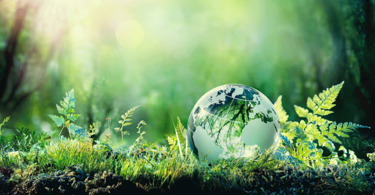 earth-day-sustainability-supermarket-news-promo.gif