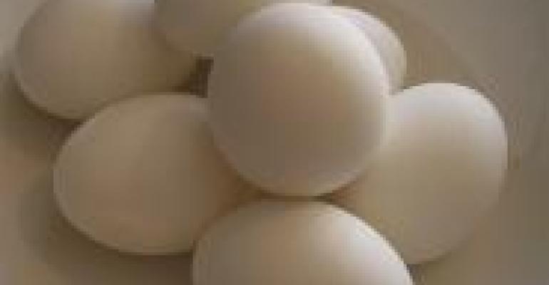 Egg Recall Highlights Options
