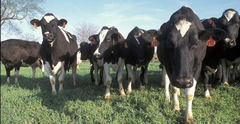 States Criticized in Raw Milk Debate