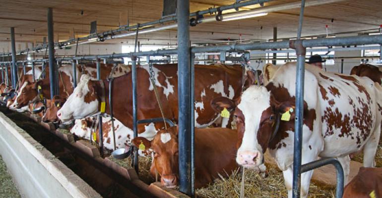 USDA Tries to Calm Mad Cow Concerns