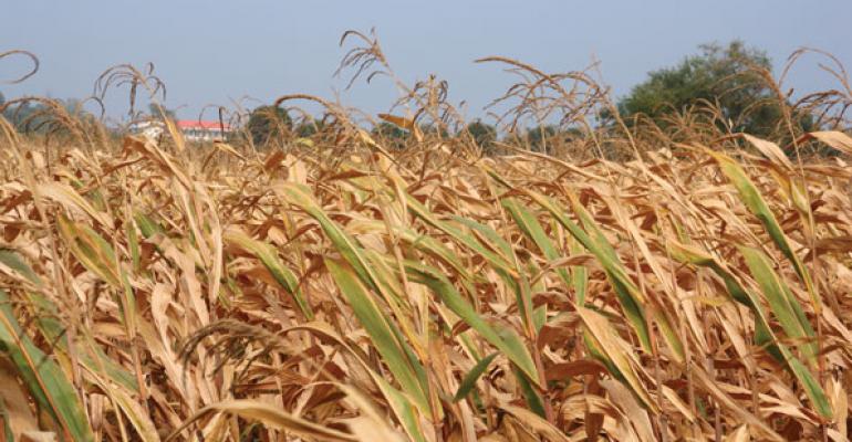 A drought across the Midwest has damaged feed corn crops