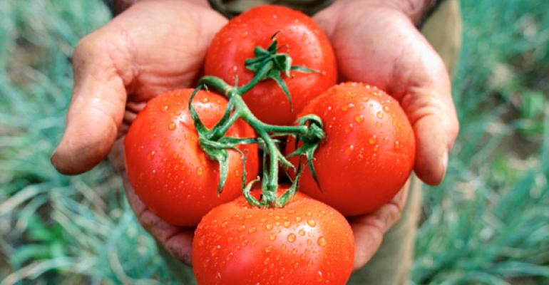 Forty percent of winter tomatoes sold in the US come from Mexico according to the Fresh Produce Association