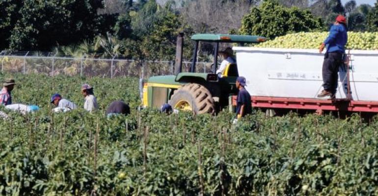 U.S., Mexico Make Tentative Tomato Deal
