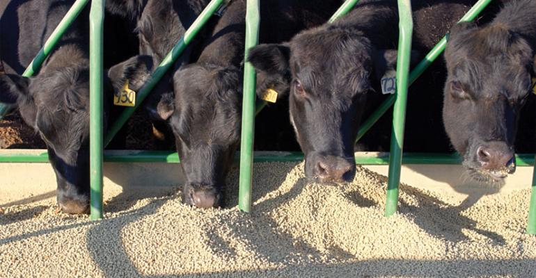 Friend in Feed: Protein Price Changes Ahead