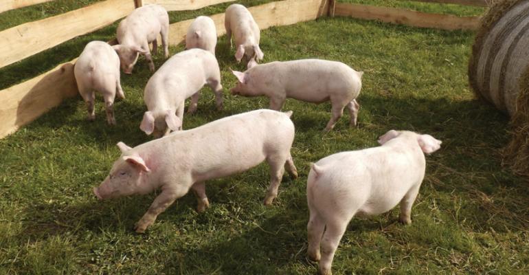 ldquoIn 2012 and 2013 we saw a slew of retailers make policies to eliminate gestation crates in their pork supply chainsquot reports Matthew Prescott at the Humane Society of the United States