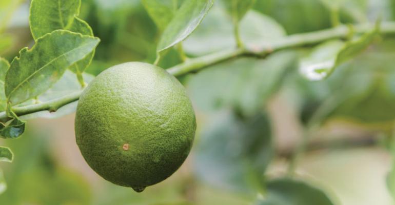Price outlook poor for limes