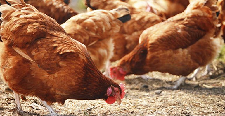Albertsons pledges all cage-free eggs by 2025