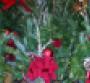 Gallery: Festive floral at A&P's Waldbaum's