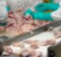 meat processing.png