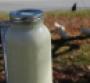 Higher Stakes in Raw Milk Debate