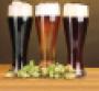 Craft Beer: Top of the Hops