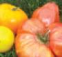 Heirloom tomatoes are favorites but consumers also enjoy turnips carrots and others