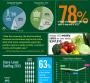 Infographic: Supermarket Sales Lag Inflation