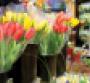Retailers Merchandise Local Flowers