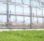 Whole Foods sources produce from store roof greenhouse