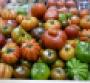 United Fresh 2014: Wegmans, FreshDirect emphasize branding, food safety for local produce 