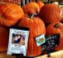 Meijer, Festival Foods promote pumpkin for fall