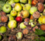 Retailers join with USDA, EPA on food waste reduction