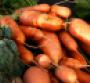 FDA seeks comments on 'natural' food claim