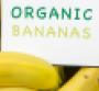 Organic produce sales surge