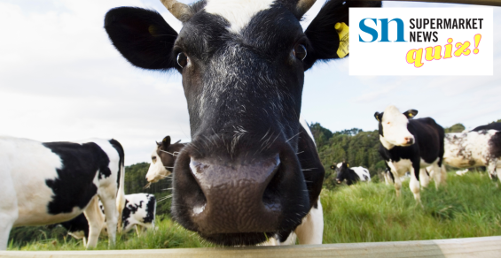 The SN News Quiz: Dairy sales are finally up