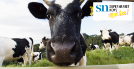 The SN News Quiz Dairy sales are finally up.png