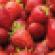 FruitStrawberries(T).jpg