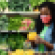 Instacart 24:7 delivery-personal shopper-store.png