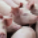meat conference- pigs-livestock-getty-promo_0.png