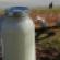 Higher Stakes in Raw Milk Debate