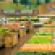 Sprouts complies with California organics recycling regulations