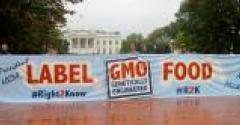 On the Road with the Non-GMO March