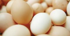 Publix updates cage-free egg policy