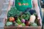 12300_NG_STOCK_Good_4_U_Crew_With_Veggies_03 (1).jpeg