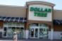 Dollar Tree Sales Change