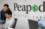 Peapod Digital Labs-banner-office.png