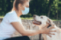 dog-and-owner-during-covid-pandemic.gif