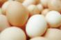 Overall egg category dollar sales were up 37 at supermarkets over a recent 52week period IRI reports