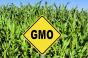 Retailers OK with Vermont GMO labeling regs, not with exemptions