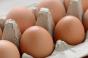 Ahold to switch to cage-free eggs 