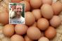 Retailers, suppliers take the lead on cage-free eggs