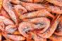 ShopRite debuts premium PL frozen shrimp