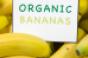 Organic produce sales surge