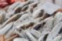 U.S. progress on seafood fraud lags E.U.: Report