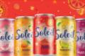 Albertsons-Soleil sparkling water-brand refresh_june2022.jpg