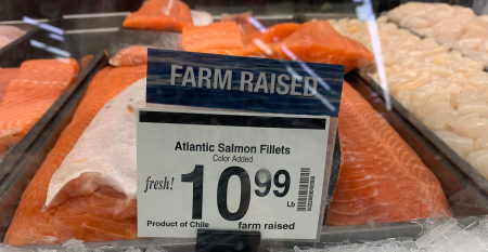 farm-raised-salmon-in-case.png