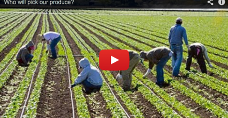 The Lempert Report: Who Will Pick Our Produce? (Video)